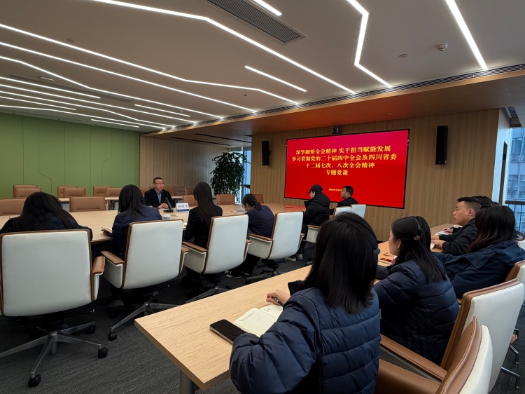 高路信息公司党委委员、财务总监胡德智召开学习贯彻党的二十届四中全会及四川省委十二届七次、八次全会精神专题党课